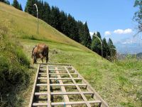 Sommer auf der Streif - 2 (c) KSC.jpg